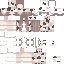 Vista previa del PNG de skin