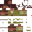 Vista previa del PNG de skin