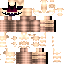 Vista previa del PNG de skin