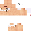 Vista previa del PNG de skin