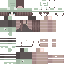 Vista previa del PNG de skin