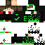 Vista previa del PNG de skin