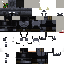 Vista previa del PNG de skin